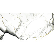 GOLD Faether Black 60 × 120 cm