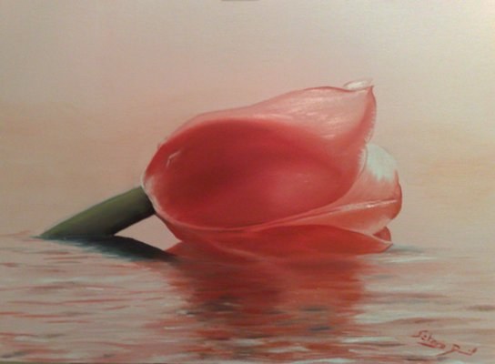 Tulipán
